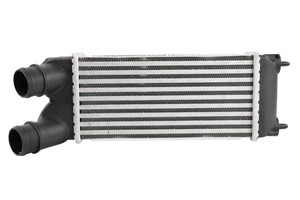Välijäähdytin, CITROËN,PEUGEOT, 0384.L9