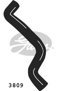 Jäähdyttimen letku, Yläpuolella, FORD FIESTA IV, FIESTA Skåp/stor limousine, PUMA, 1010321, 1021636, 1037315, 96FB8B274BC, 96FB8B274BD,