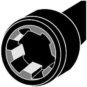 Sylinterikannen pulttisarja, ALFA ROMEO,FIAT,LANCIA,OPEL,VAUXHALL, 56 07 961, 7775920 (x10)