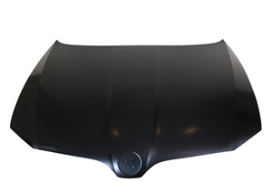 Konepelti, SKODA SUPERB II, SUPERB Kombi II, 3T0823031B