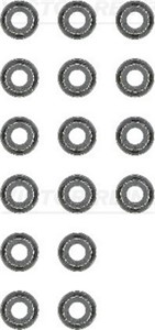 Tiivistesarja, venttiilivarsi, NISSAN,OPEL,RENAULT,RENAULT TRUCKS, 13207-D0111 (16x), 44 16 537 (16x), 77 01 064 021 (16x)