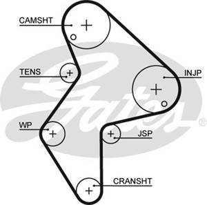 Hammashihna, CITROËN,FIAT,LANCIA,PEUGEOT, 0816.54, 081654, 71739918, 90013344, 9400816549, 96049648, 9604964880