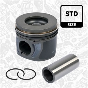 Männät, FORD RANGER, TRANSIT Buss, TRANSIT Flak/chassi, TRANSIT Skåp