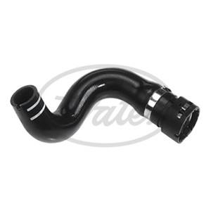 Jäähdyttimen letku, Alla, FIAT PANDA, PANDA Skåp/halvkombi, PANDA VAN, 51779918