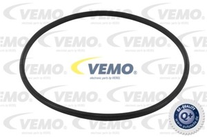 Tiiviste, tankin anturi, DACIA,MITSUBISHI,NISSAN,RENAULT,SMART, 77 01 295 611, V46090053