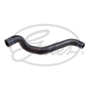 Jäähdyttimen letku, Yläpuolella, FIAT TIPO Halvkombi, TIPO Kombi, TIPO Sedan, 51983425, 52087265