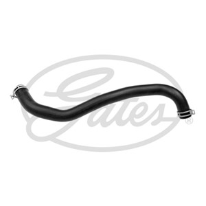 Jäähdyttimen letku, Alla, FORD, 1514152, 1704985, 1827185, 8V218B273BB, 8V218B273BC