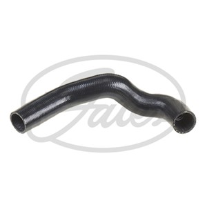 Jäähdyttimen letku, Alla, MERCEDES-BENZ,SSANGYONG, 1245014382, A1245014382