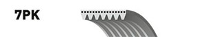 Moniurahihna, NISSAN,OPEL,RENAULT, 11720-5X00A, 119205985R, 4423723, 95519123