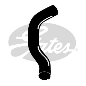 Jäähdyttimen letku, Alla, FIAT IDEA, IDEA Van, PUNTO, PUNTO Skåp/halvkombi, LANCIA MUSA, YPSILON, 46748808, 51757064