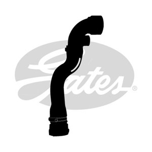 Jäähdyttimen letku, Yläpuolella, BMW 3 [E46], 3 Cabriolet [E46], 3 Compact [E46], 3 Coupé [E46], 3 Touring [E46], 11531436406, 171275109