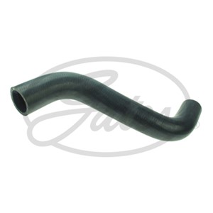 Jäähdyttimen letku, Yläpuolella, CHEVROLET AVEO / KALOS Halvkombi, AVEO / KALOS Sedan, 96810843