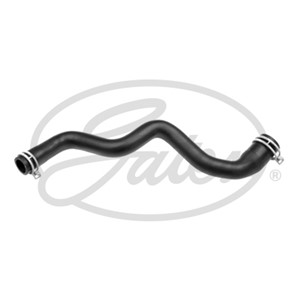 Jäähdyttimen letku, Yläpuolella, FORD C-MAX, FOCUS II, FOCUS C-MAX, FOCUS Sedan II, FOCUS Skåp / kombi II, FOCUS Turnier II, 1224247, 12