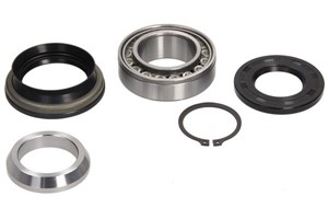 Pyöränlaakerisarja, Taka-akseli, Oikea, Vasen, NISSAN NP300 NAVARA, NP300 NAVARA Flak/chassi, 38162EB70A, 38162EB70C, 39600EB30A, 39600E
