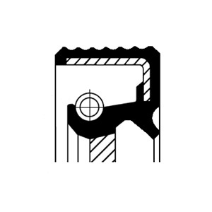 Akselitiiviste, tasauspyörästö, Oikea, Poisto, NISSAN,OPEL,RENAULT,SEAT,VAUXHALL, 3818900QAD, 4401274, 77001474122, 7700852549, 77014741