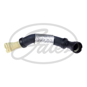 Jäähdyttimen letku, Yläpuolella, FORD USA, 8C3Z-8260-C, AC3Z-8260-A