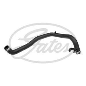 Jäähdyttimen letku, Alla, FORD B-MAX, B-MAX Van, FIESTA VI, FIESTA Van VI, 1870178, 1925439, C1B1-8B273-CC