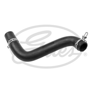 Jäähdyttimen letku, Alla, FORD FIESTA V, FIESTA Van V, FUSION, 1141502, 1143367, 1546445, 2S6H-8B273-AB, 2S6H-8B273-AC, 2S6H-8B273-AD