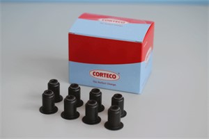 Tiivistesarja, venttiilivarsi, Poistopuoli, CITROËN,FIAT,FORD,LANCIA,PEUGEOT,SUZUKI,VOLVO, 095648, 1231935, 1291967G00, 3M5Q6571BA, 8653