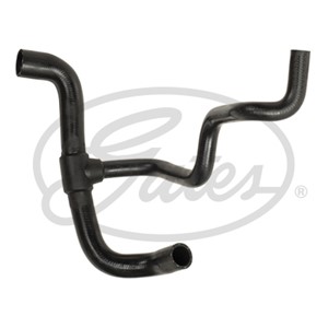 Jäähdyttimen letku, Alla, RENAULT MEGANE I, MEGANE Cabriolet I, MEGANE Classic I, MEGANE Coach I, MEGANE Grandtour I, 7700437650, 770082