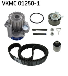 Vesipumppu + jakohihnasarja, AUDI,FORD,SEAT,SKODA,VW, 038 109 119 L, 038 109 119 N, 038 109 119 P, 038 109 243 M, 038 109 244 J, 038 109
