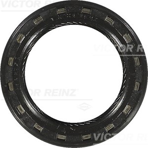 Akselitiiviste, kampiakseli, Etupää, Sylinterikansi, DACIA,OPEL,RENAULT,VAUXHALL, 646 266, 646 290, 77 00 522 314, 77 00 859 691