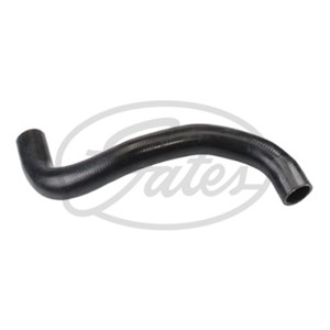 Jäähdyttimen letku, Yläpuolella, RENAULT CLIO II, CLIO Skåp/halvkombi II, KANGOO, KANGOO Express, THALIA I, THALIA II, 7700847054