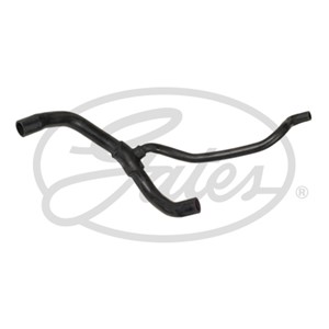 Jäähdyttimen letku, Alla, RENAULT CLIO II, KANGOO, KANGOO Express, THALIA I, THALIA II, 7700847055, 8200024001