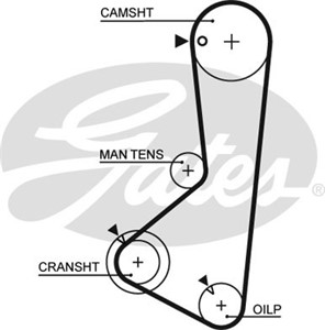 Hammashihna, HYUNDAI SANTAMO, SONATA III, MITSUBISHI L 300 Buss III, L 300 Skåp III, L200, 24312-32560, MD189521