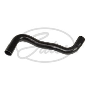 Jäähdyttimen letku, Yläpuolella, RENAULT KANGOO, KANGOO Express, 8200118128