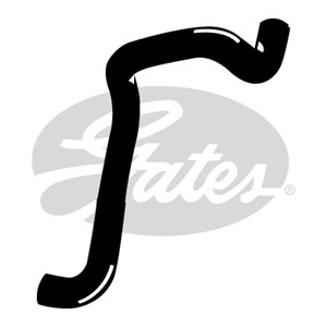 Jäähdyttimen letku, Yläpuolella, FORD FOCUS I, FOCUS Sedan I, FOCUS Skåp / kombi I, FOCUS Turnier I, 1061217, 1076923, 1096829, 1134581,