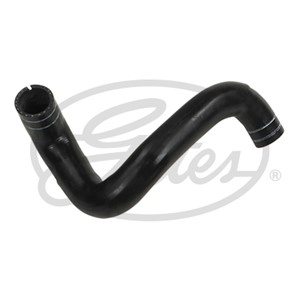 Jäähdyttimen letku, Alla, FIAT LINEA, 51825662