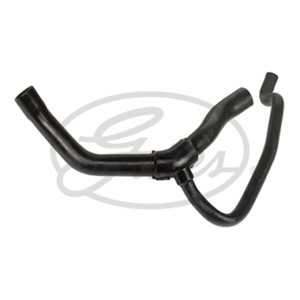 Jäähdyttimen letku, Alla, RENAULT CLIO II, KANGOO, KANGOO Express, THALIA I, 77 00 834 887