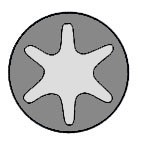Sylinterikannen pulttisarja, CITROËN,FIAT,PEUGEOT,SUZUKI, 0204.73 (10x)